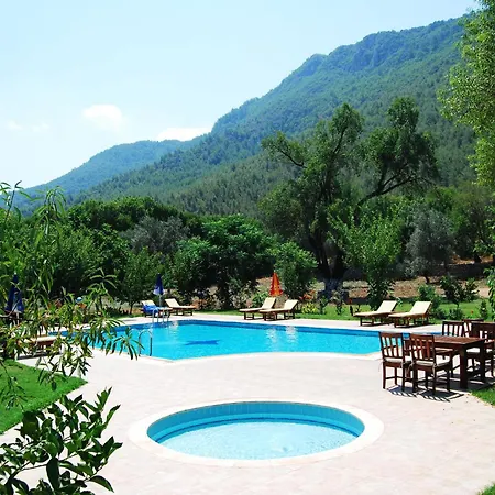 מלון דירות Doga