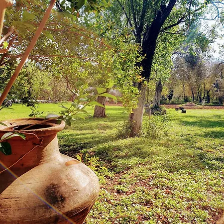 מלון דירות Doga 3*